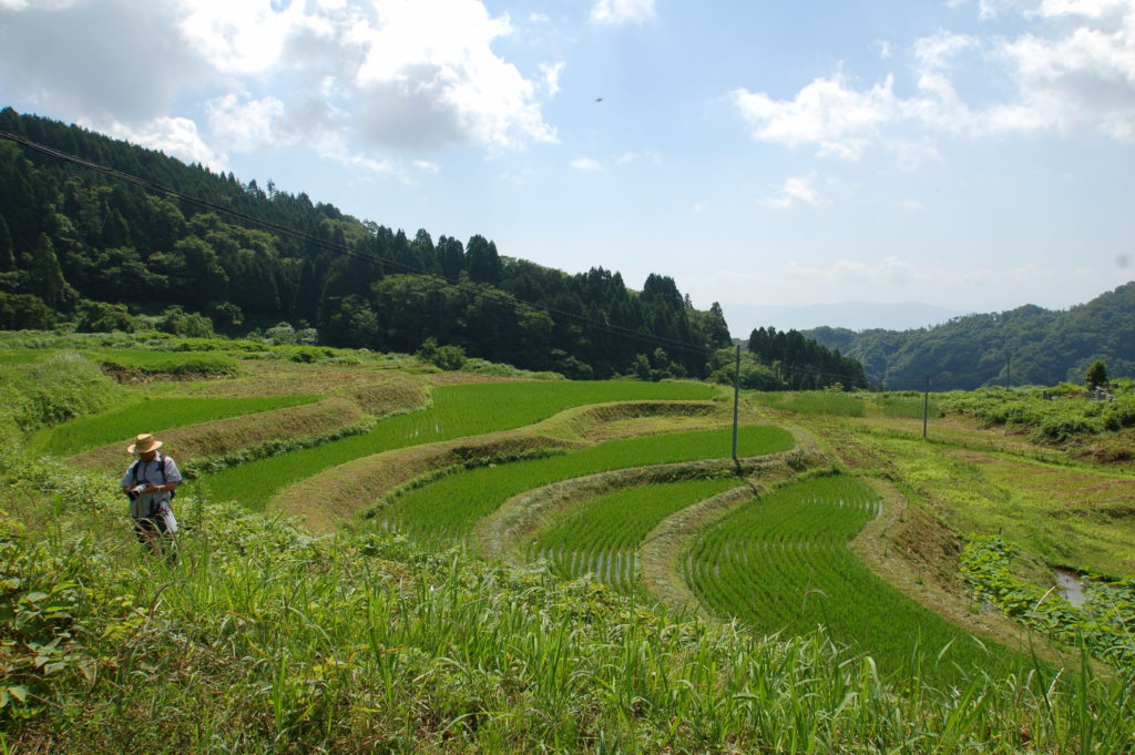日本の里100選にも選ばれた笹葺き屋根と棚田が広がる集落を一望する施設